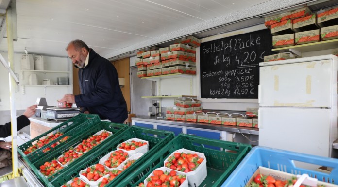 Sprzedaż bezpośrednia truskawek, a może w formie zbieraj sam