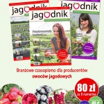 Jagodnik_PLAKAT