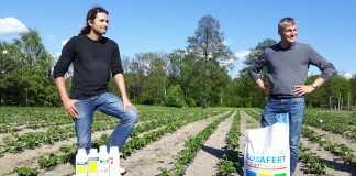 Kolejne zalecenia dla producentów truskawek z Klubu Jagodowego