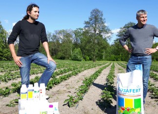 Kolejne zalecenia dla producentów truskawek z Klubu Jagodowego