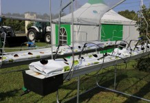 Rusztowania, tunele i konstrukcje do uprawy truskawek i malin