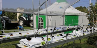 Rusztowania, tunele i konstrukcje do uprawy truskawek i malin