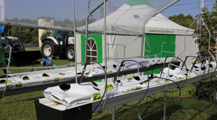 Rusztowania, tunele i konstrukcje do uprawy truskawek i malin