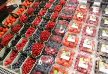 Ogromne zainteresowanie malinami i borówkami w Szwajcarii