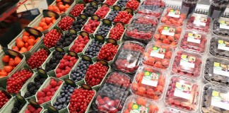 Optymistyczne perspektywy dla jagodowej branży w Holandii.