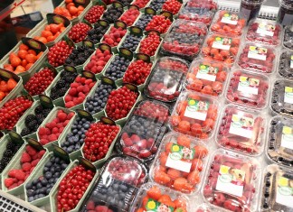 Optymistyczne perspektywy dla jagodowej branży w Holandii.