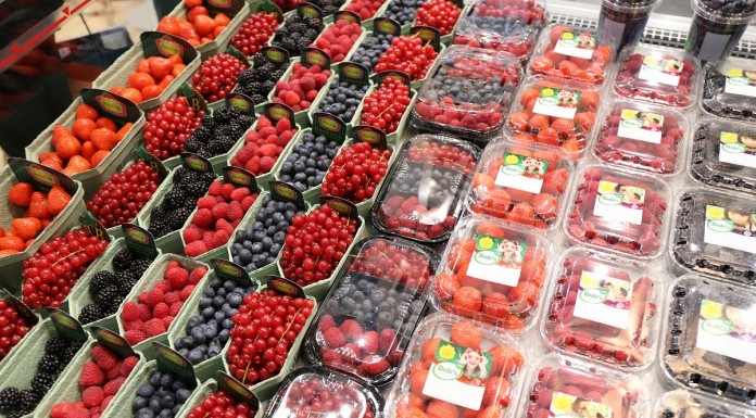 Ogromne zainteresowanie malinami i borówkami w Szwajcarii