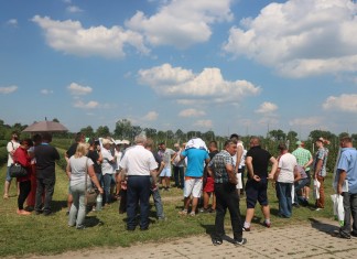 Dzień Otwarty Instytutu Ogrodnictwa – 8 czerwca w Dąbrowicach