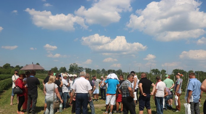 Dzień Otwarty Instytutu Ogrodnictwa – 8 czerwca w Dąbrowicach