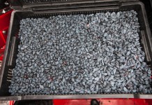 Rosnące możliwości eksportu jagody kamczackiej