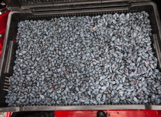 Rosnące możliwości eksportu jagody kamczackiej