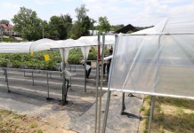 Uprawy pod daszkami wzbogacone o boczne kurtyny
