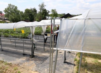 Uprawy pod daszkami wzbogacone o boczne kurtyny