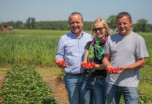 Przede wszystkim smaczne truskawki