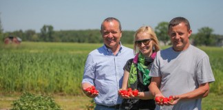 Przede wszystkim smaczne truskawki