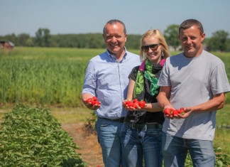 Przede wszystkim smaczne truskawki