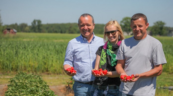 Przede wszystkim smaczne truskawki