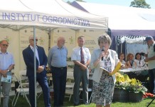 XIX Dzień Otwartych Drzwi w SD w Dąbrowicach