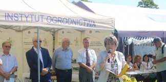 XIX Dzień Otwartych Drzwi w SD w Dąbrowicach