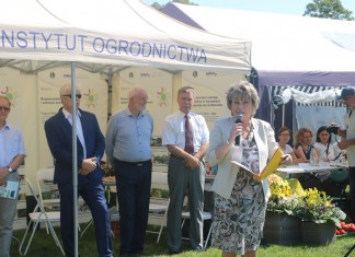 XIX Dzień Otwartych Drzwi w SD w Dąbrowicach