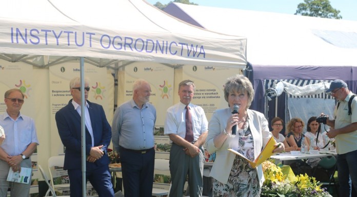 XIX Dzień Otwartych Drzwi w SD w Dąbrowicach