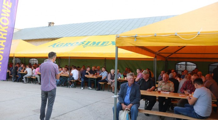 Budujemy populację owadów zapylających (cz. II)