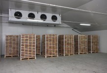 Przechowywanie truskawek