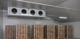 Przechowywanie truskawek