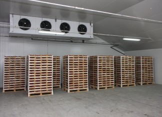 Przechowywanie truskawek