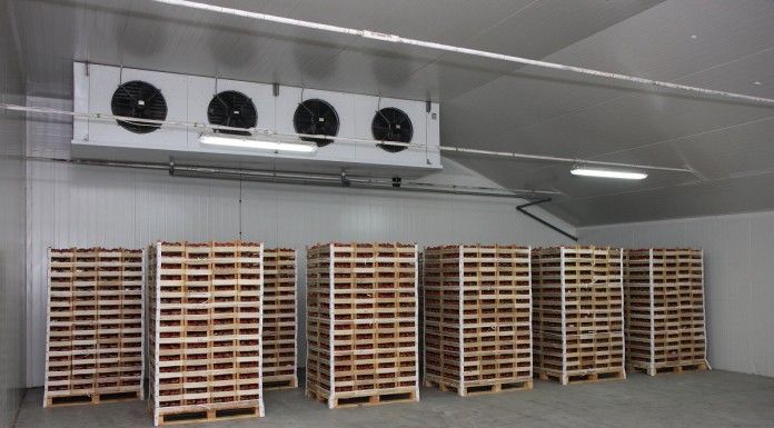 Przechowywanie truskawek