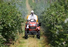 Ważne rozwiązania mikrobiologiczne (cz. I)
