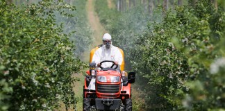 Ważne rozwiązania mikrobiologiczne (cz. I)