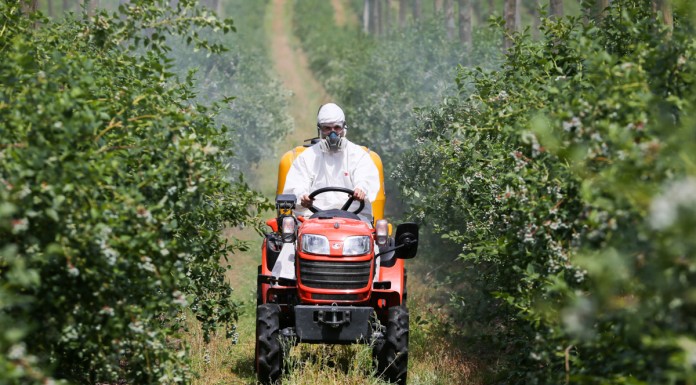 Ważne rozwiązania mikrobiologiczne (cz. I)