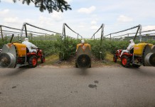 Sprawdzone i nowe produkty od SAP