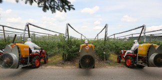 Sprawdzone i nowe produkty od SAP