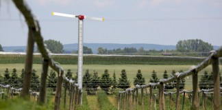 Borówkowy sezon w Białousach