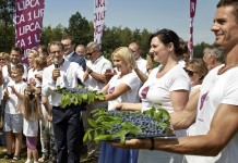 100 lat uprawy borówki i rozpoczęcie sezonu