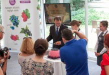 Potencjał owoców jagodowych