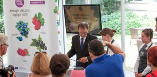 Potencjał owoców jagodowych