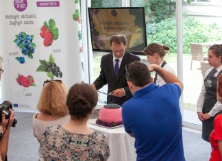 Potencjał owoców jagodowych