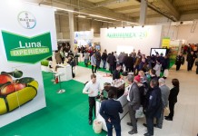 TSW 2018 – zapowiadają się rekordowe targi!