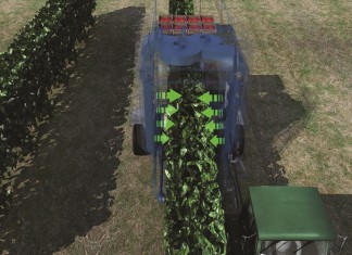 Pokaz zbioru malin kombajnem powietrznym