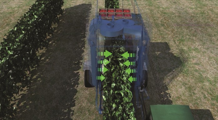 Pokaz zbioru malin kombajnem powietrznym