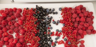 Owoce jagodowe – źródło witamin warte inwestycji