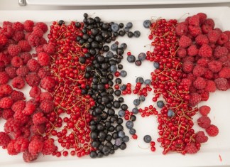 Owoce jagodowe – źródło witamin warte inwestycji