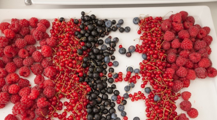 Owoce jagodowe – źródło witamin warte inwestycji