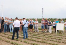 Sezon truskawkowy 2017 zaczyna się teraz