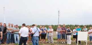 Sezon truskawkowy 2017 zaczyna się teraz