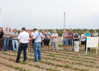 Sezon truskawkowy 2017 zaczyna się teraz