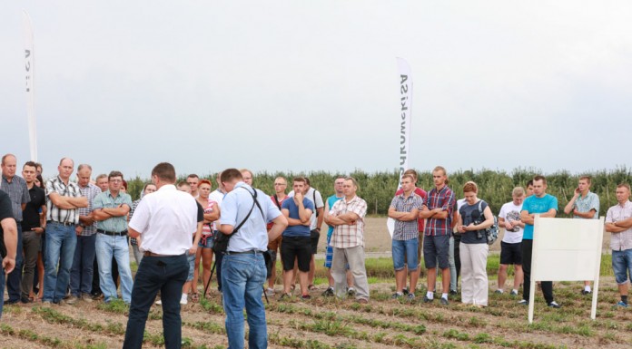 Sezon truskawkowy 2017 zaczyna się teraz